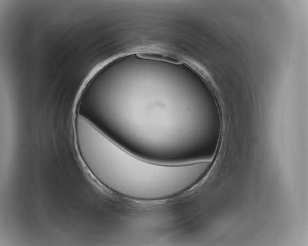 X0000114601200200910191048