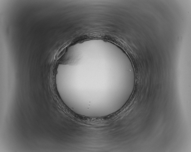 X0000114601201200910191047