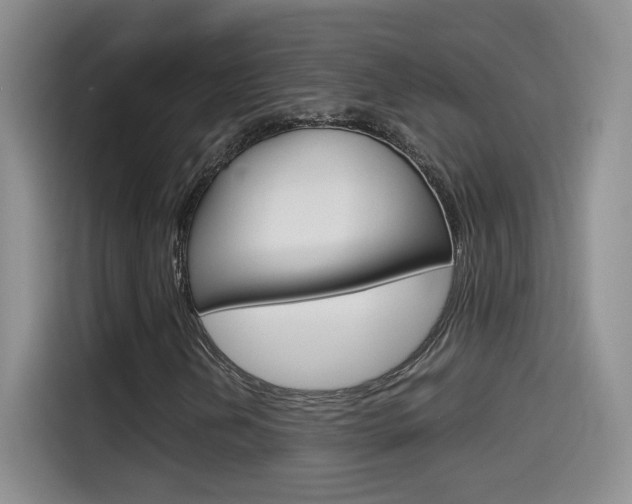 X0000114601202200910191047