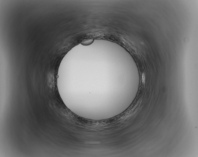 X0000114601203200910191047