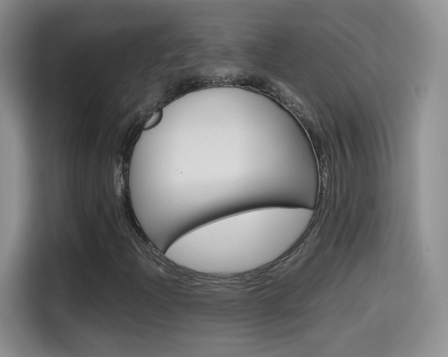 X0000114601204200910191047