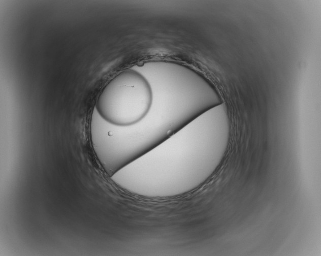 X0000114601205200910191047