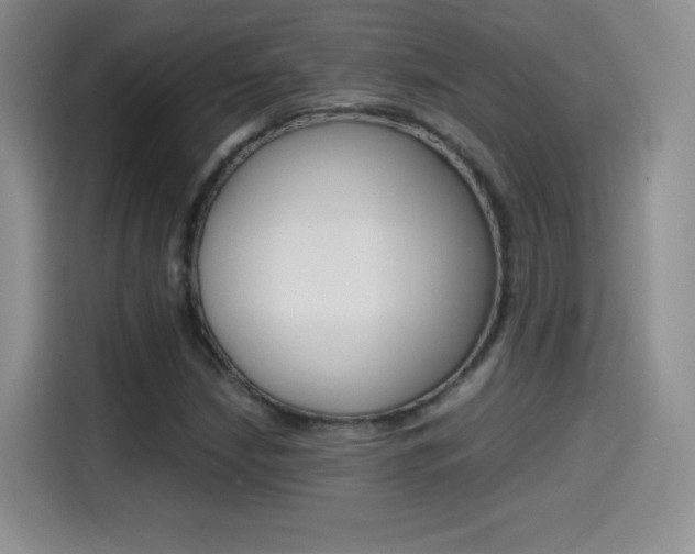 X0000114601210200910191047