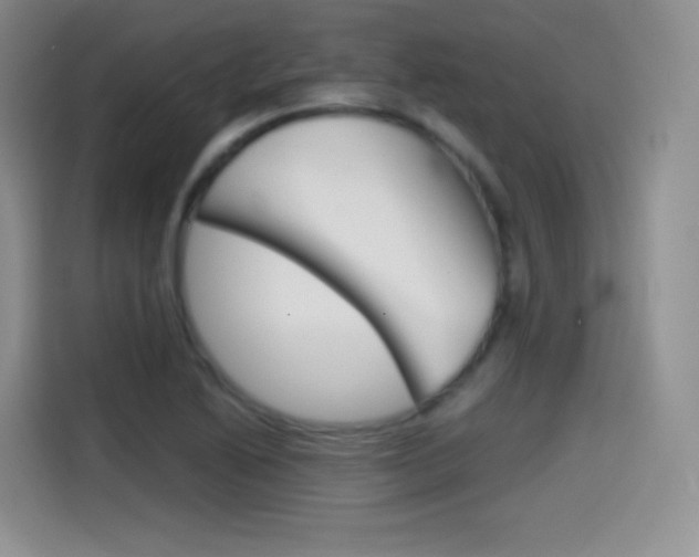 X0000114601222200910191047