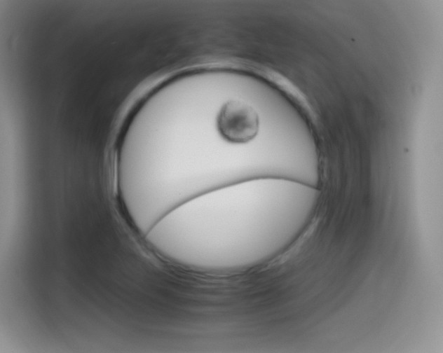 X0000114601223200910191047