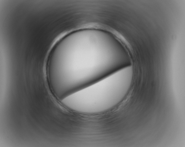 X0000114601230200910191047