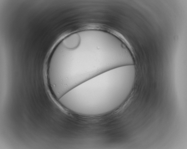X0000114601235200910191047
