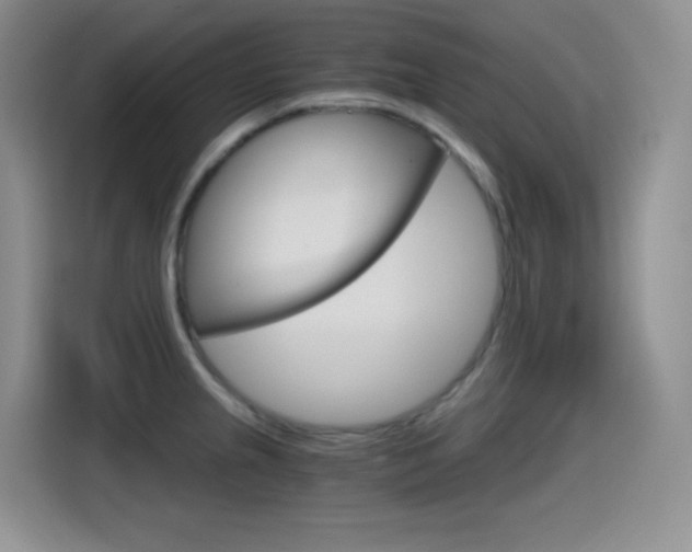 X0000114601237200910191047