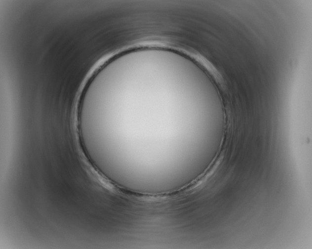 X0000114601240200910191048