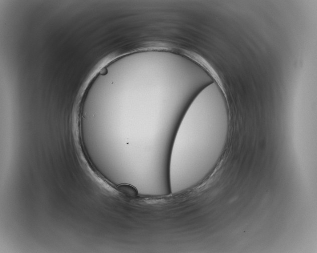 X0000114601243200910191048