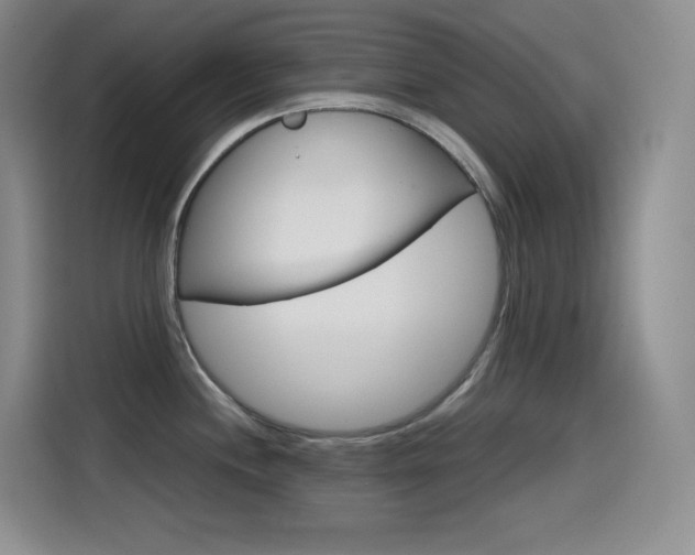 X0000114601244200910191048