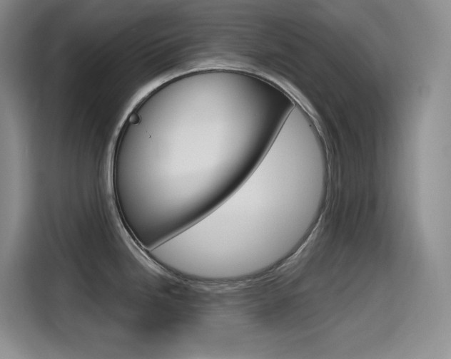 X0000114601246200910191048