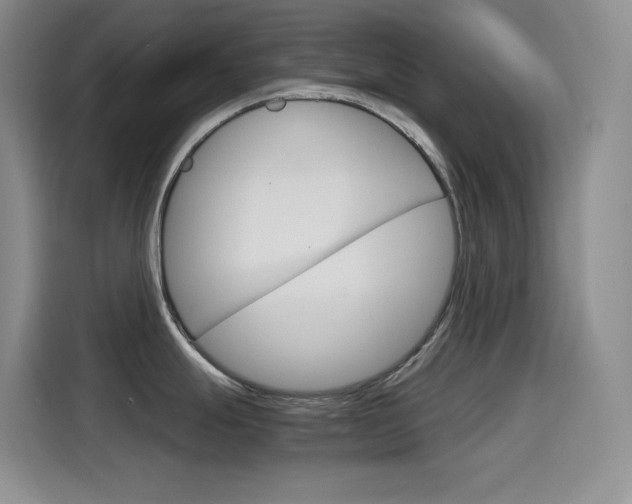 X0000114601247200910191048