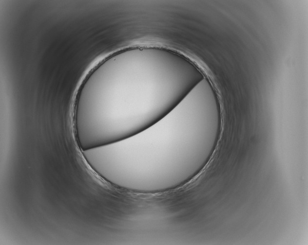 X0000114601248200910191048