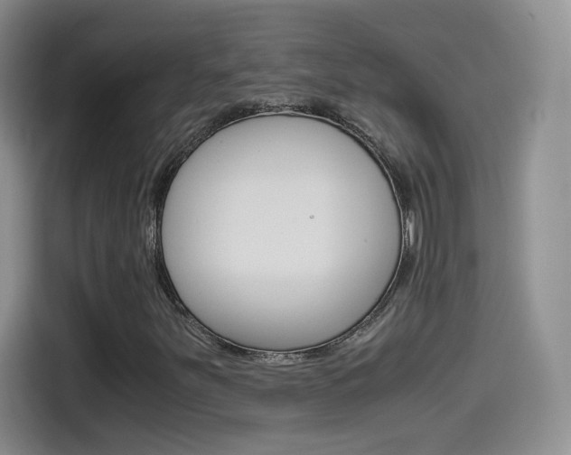 X0000114601251200910191047