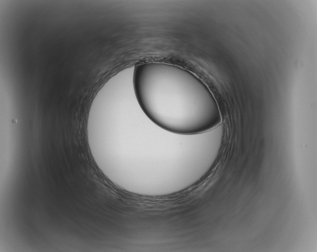 X0000114601252200910191047