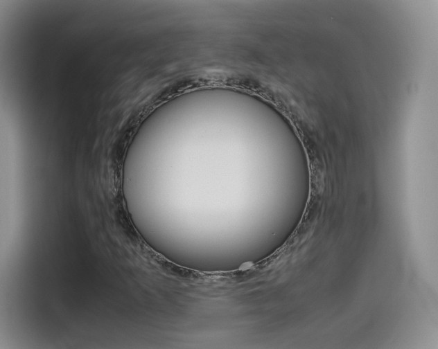 X0000114601253200910191047