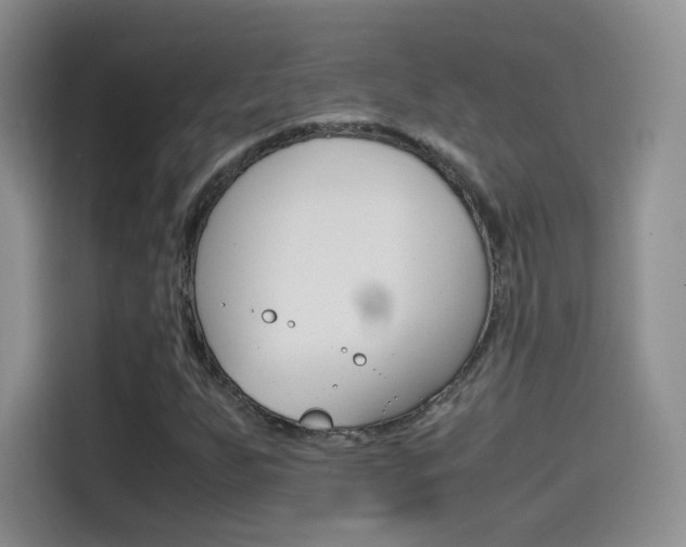 X0000114601255200910191047