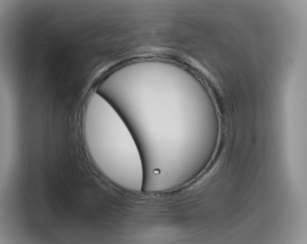 X0000114601259200910191047