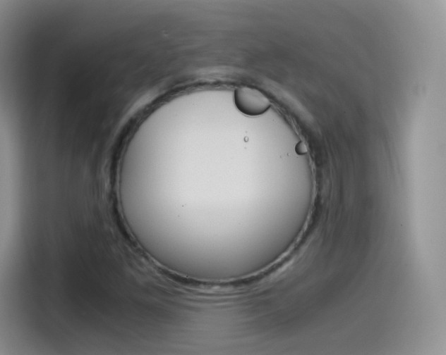 X0000114601261200910191047