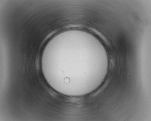 X0000114601266200910191047