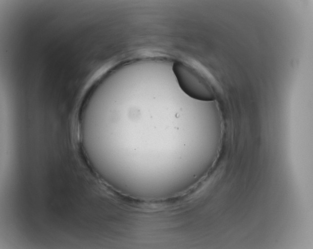 X0000114601269200910191047