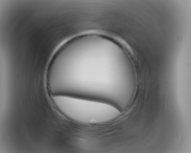 X0000114601279200910191047