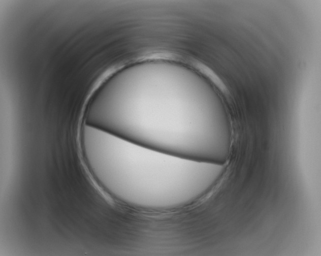 X0000114601282200910191047