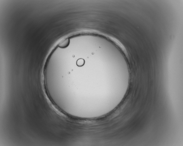 X0000114601287200910191046