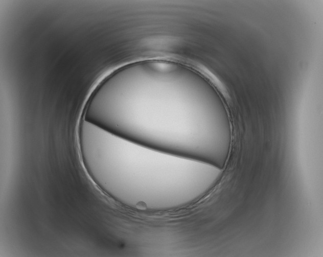 X0000114601291200910191046