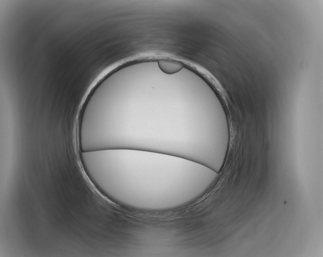X0000114601295200910191046