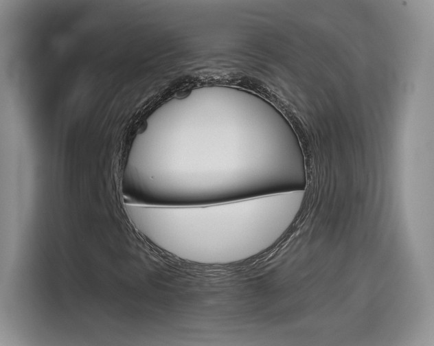 X0000114601297200910191046
