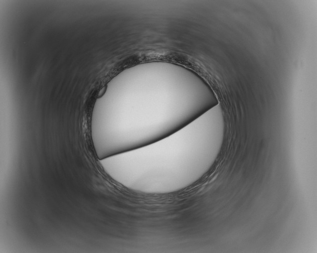 X0000114601299200910191046