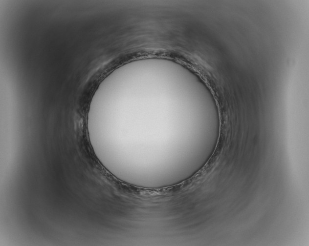 X0000114601302200910191046