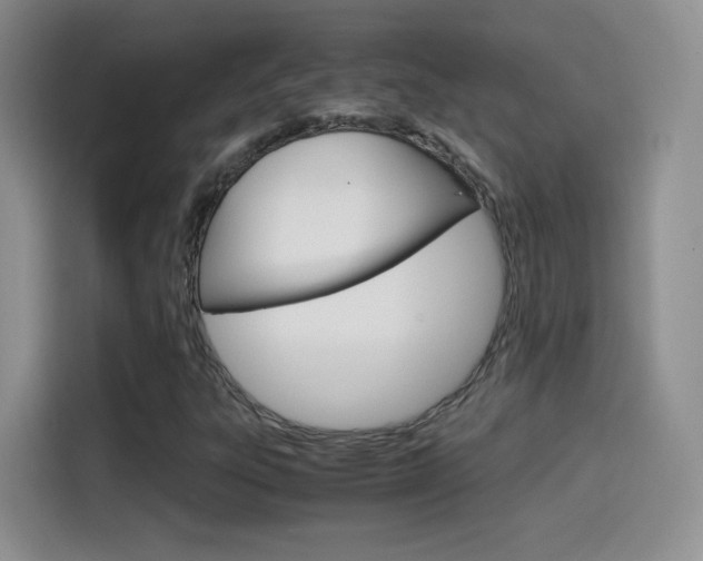 X0000114601303200910191046