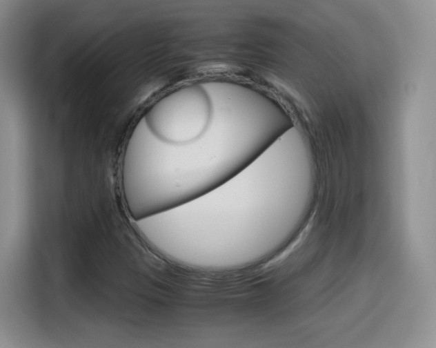 X0000114601305200910191046
