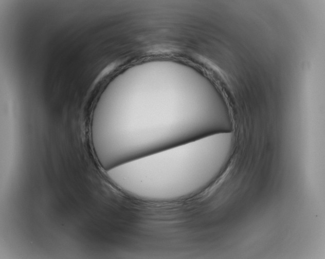 X0000114601306200910191046