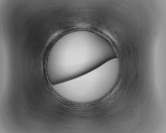 X0000114601307200910191046