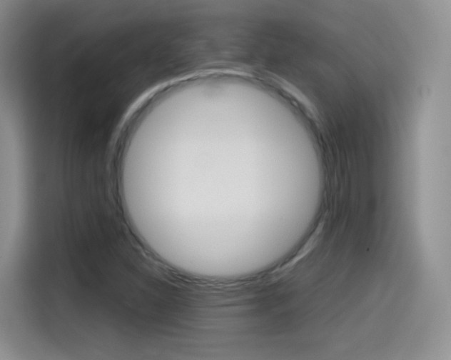 X0000114601310200910191046