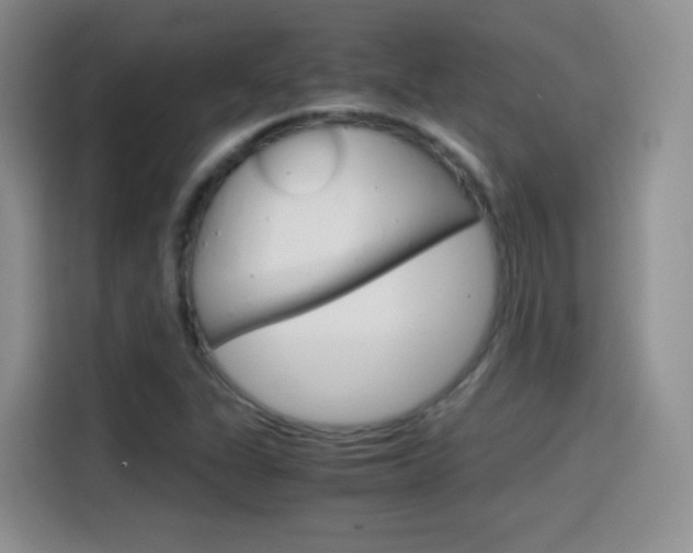 X0000114601311200910191046