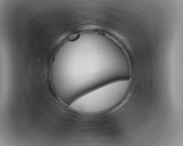 X0000114601313200910191046