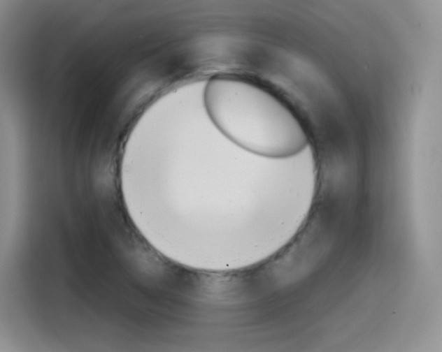 X0000114601314200910191046