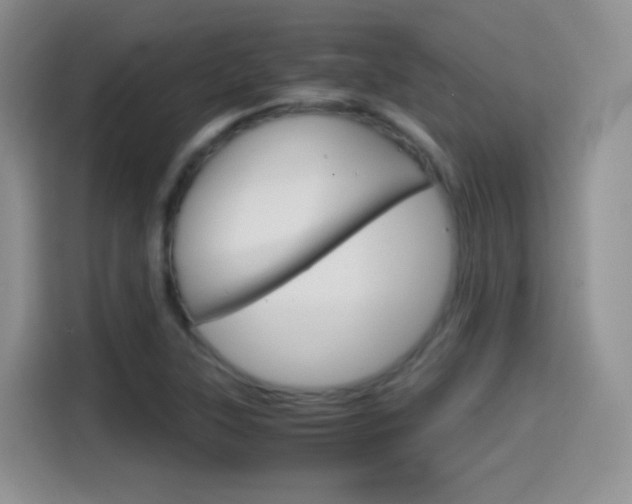 X0000114601315200910191046
