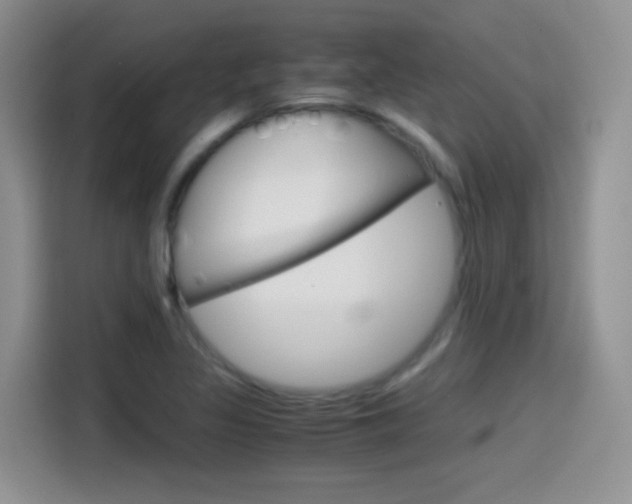 X0000114601317200910191046