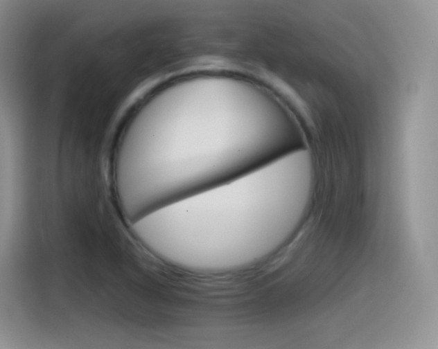 X0000114601318200910191046