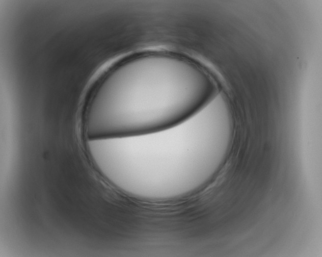 X0000114601319200910191046