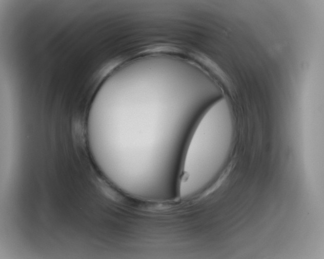 X0000114601321200910191046