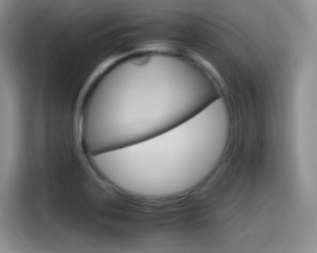 X0000114601323200910191046