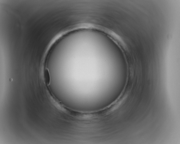 X0000114601326200910191046