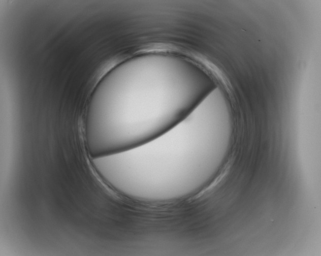 X0000114601329200910191046